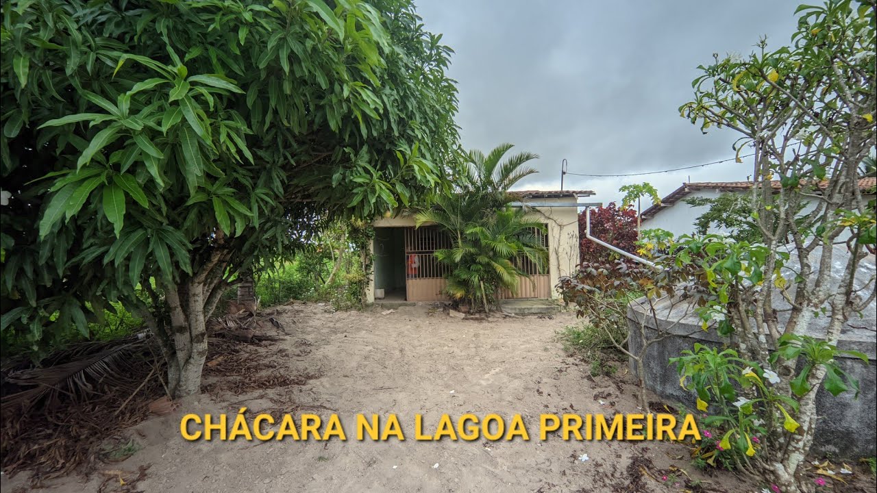 74- CHÁCARA MUITO BOA NO SITIO LAGOA PRIMEIRA EM BOM CONSELHO
