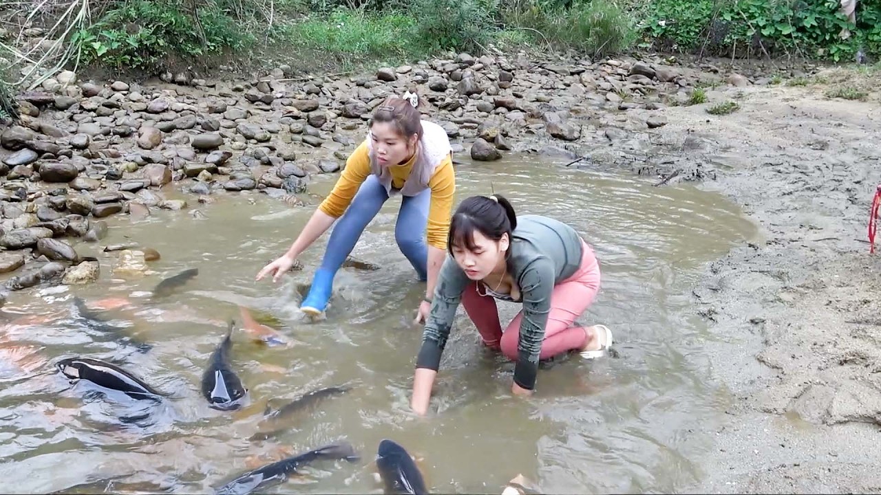 How to Catch Giant Fish: Single Girl Fishing Challenge, Journey on the sea trap fish| Nguyet Fishing