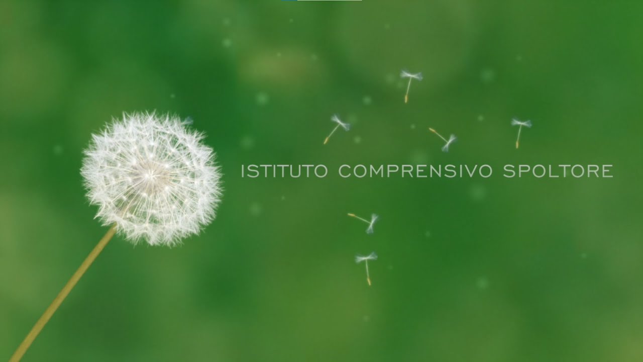 Trailer ISTITUTO COMPRENSIVO SPOLTORE