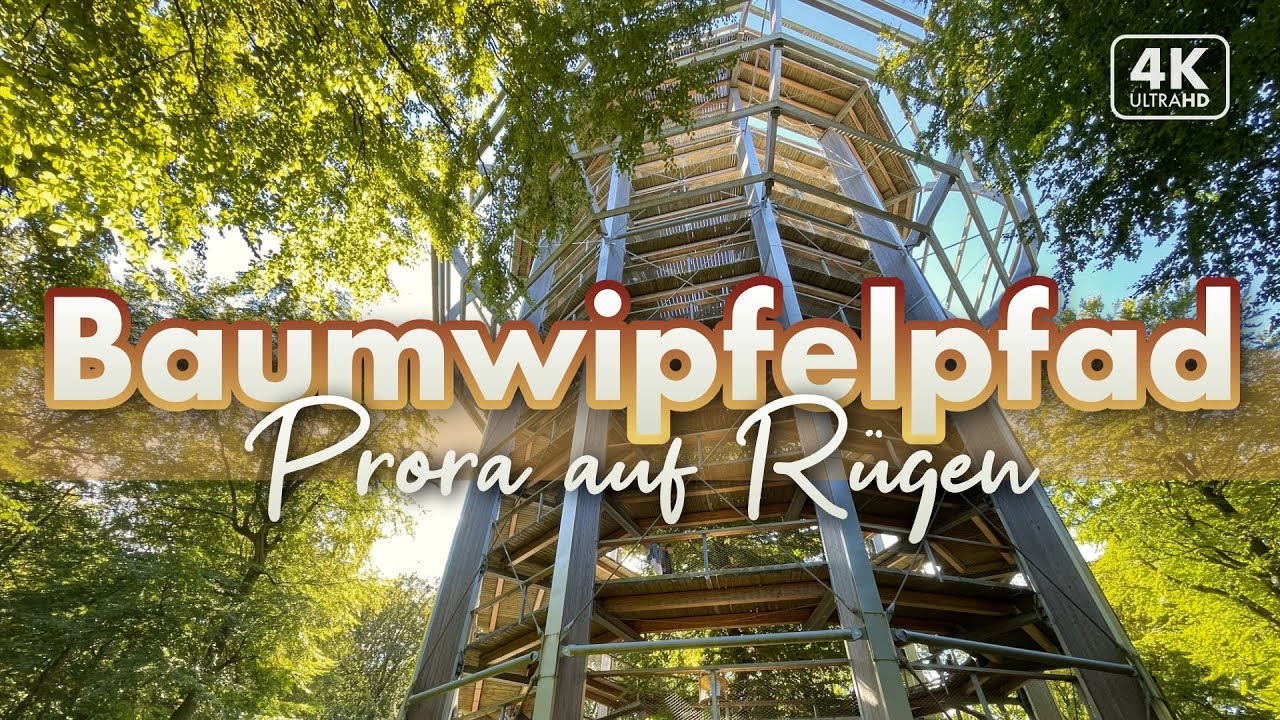 Baumwipfelpfad Prora - Rügen von oben 2022 (4K Walk)