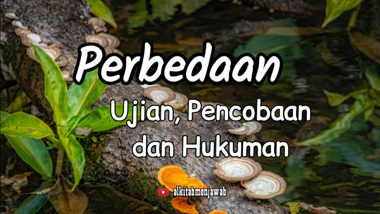 Perbedaan Ujian, Pencobaan dan Hukuman. Alkitab Menjawab (@SuaraInjil )