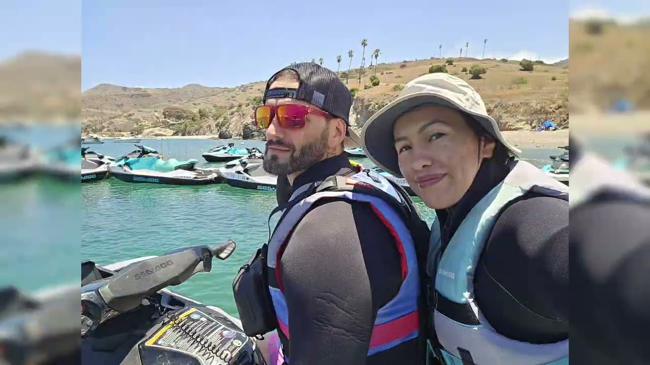 Chasing Dolphins #42