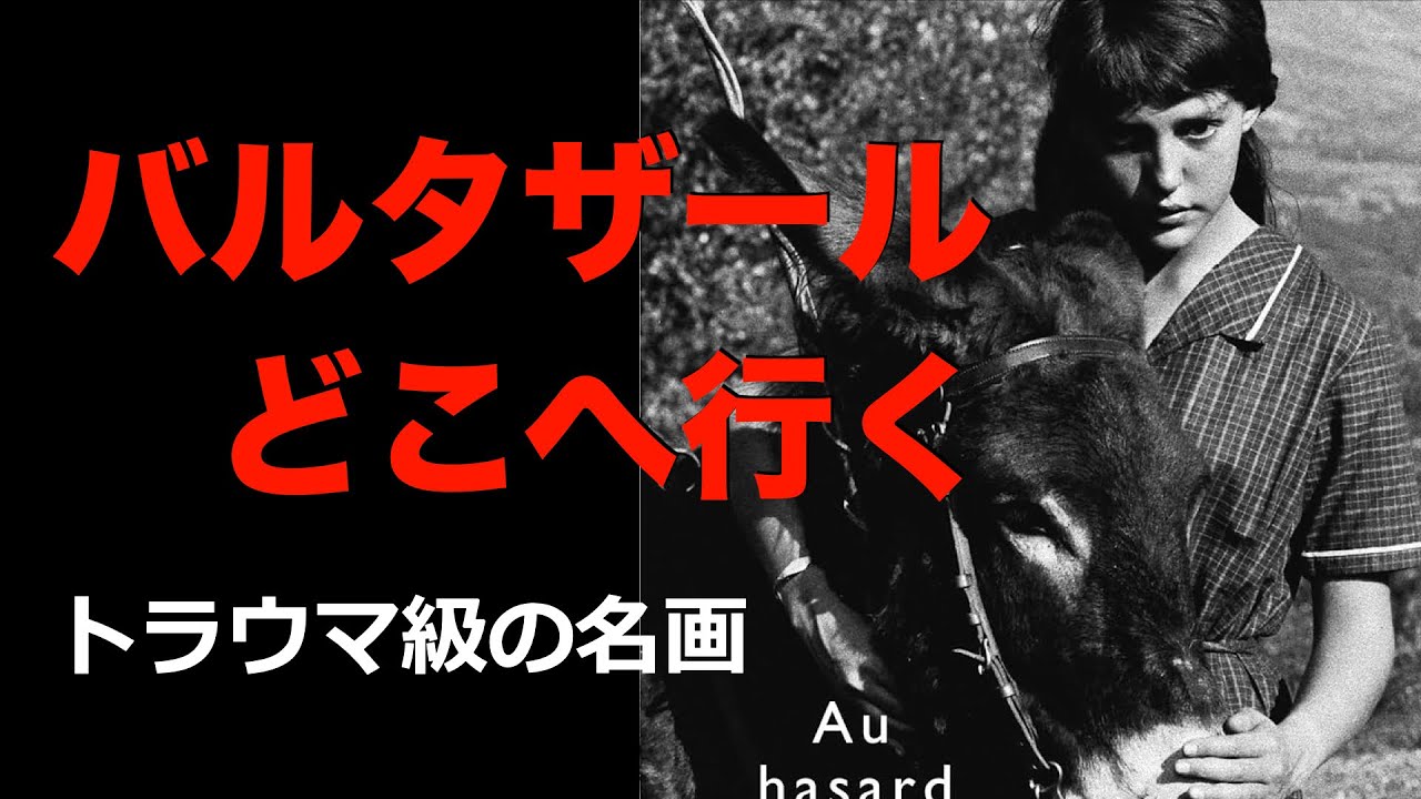 涙の名作『バルタザールどこへ行く』1964年／ロッテントマト満点評価／受難のロバの物語／ネタバレあり注意／「シネマプロムナード 」 クラシック映画チャンネル