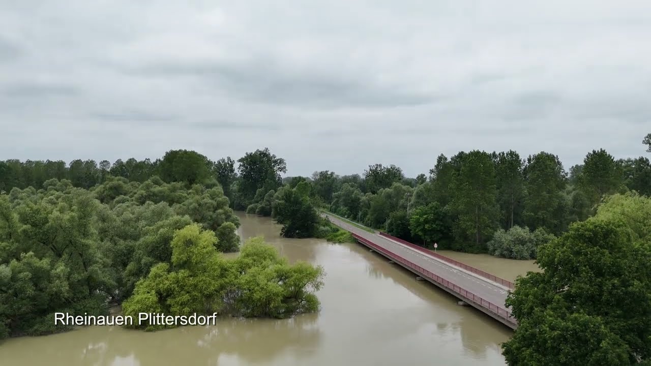 Rhein-Hochwasser Plittersdorf / Murg-Hochwasser Rastatt 4K Video