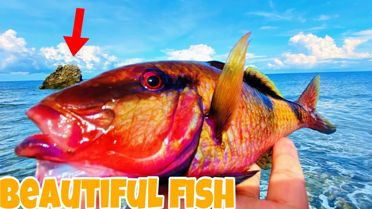 Mancing Pakai Minnow 5gram dan micro jig 10gram, Lure Ini yang Disambar || ultralight casting