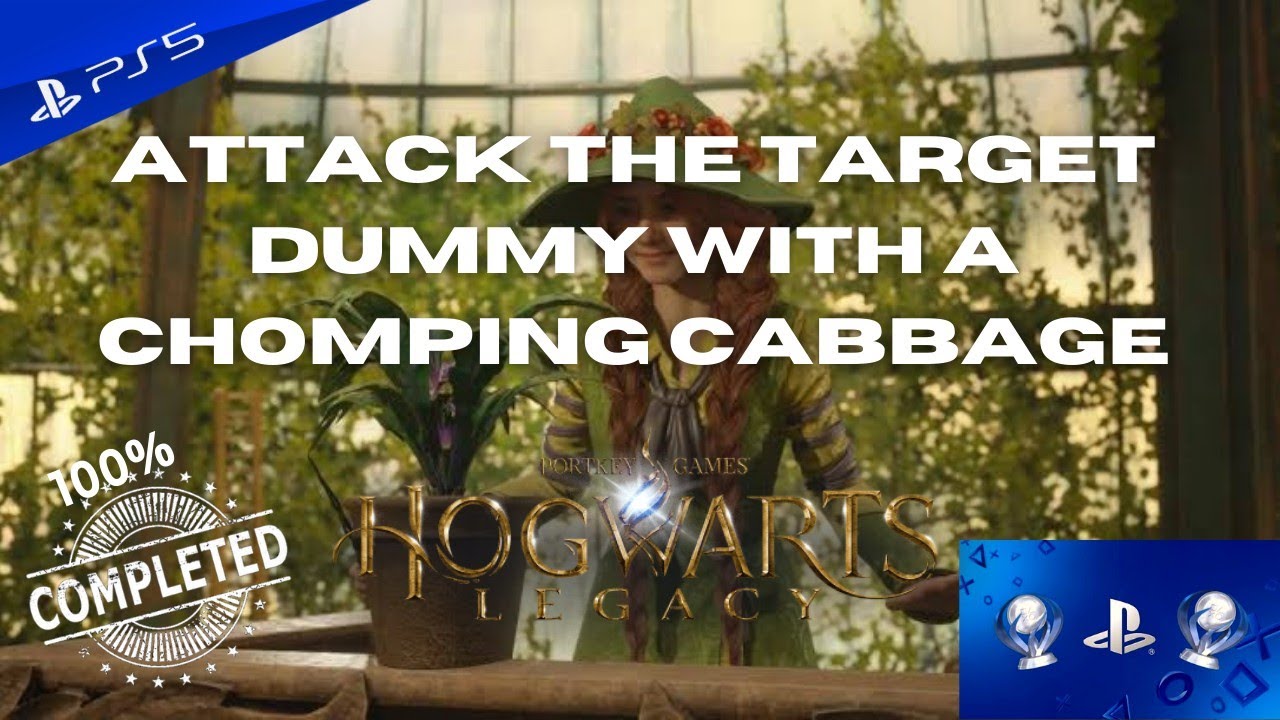 Harry Potter Game - Hogwarts Legacy Attack the target dummy with a Chomping Cabbage