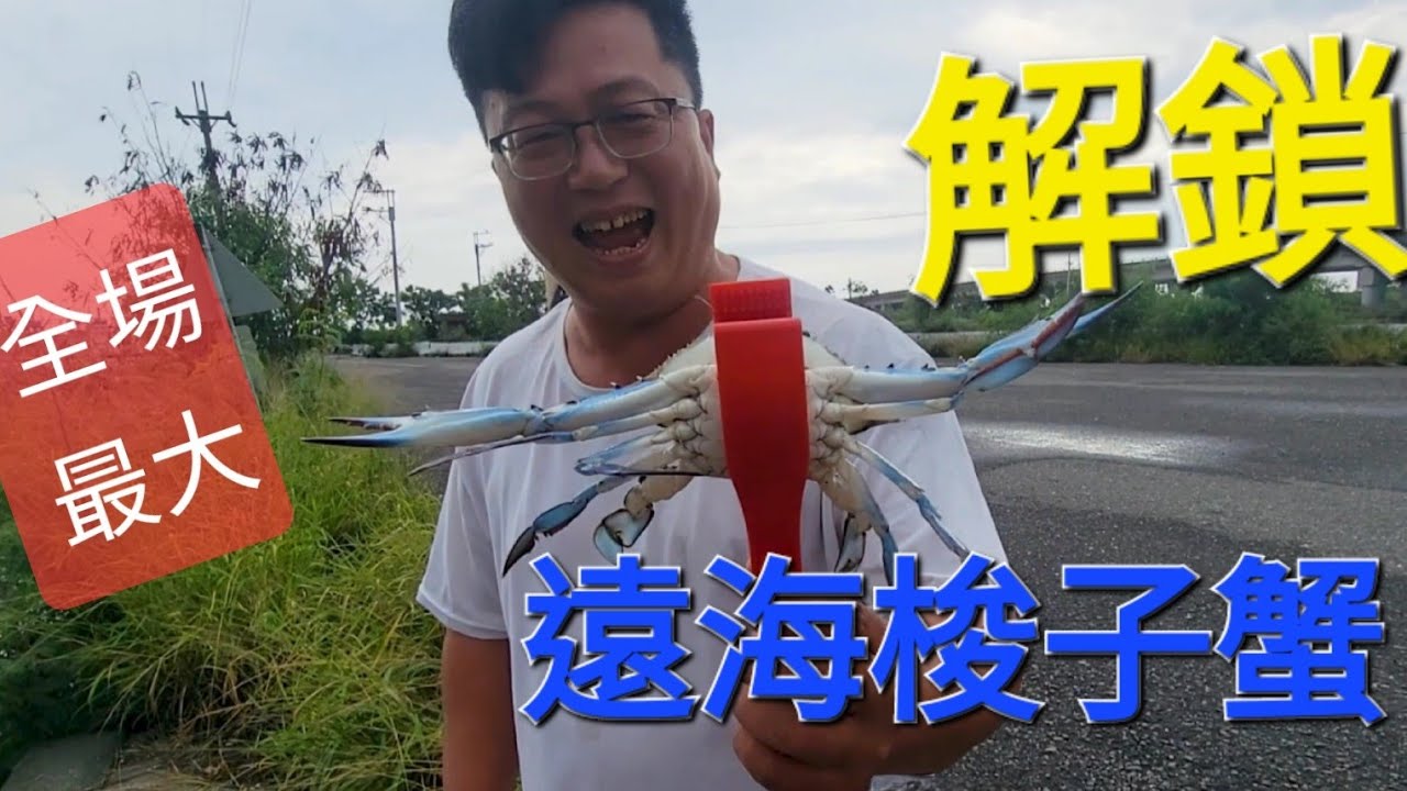 #青鯤鯓 朝聖釣螃蟹聖地，全場最大隻的花蟹出現 Fishing  台湾の釣り 낚시 câucá 爆釣 パチスロ