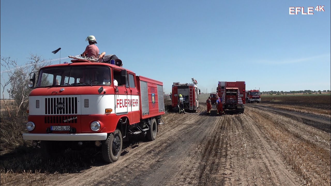 [Pendelverkehr/Einsatzfahrten] Großer Feldbrand bei Krostitz [30.06.2019]