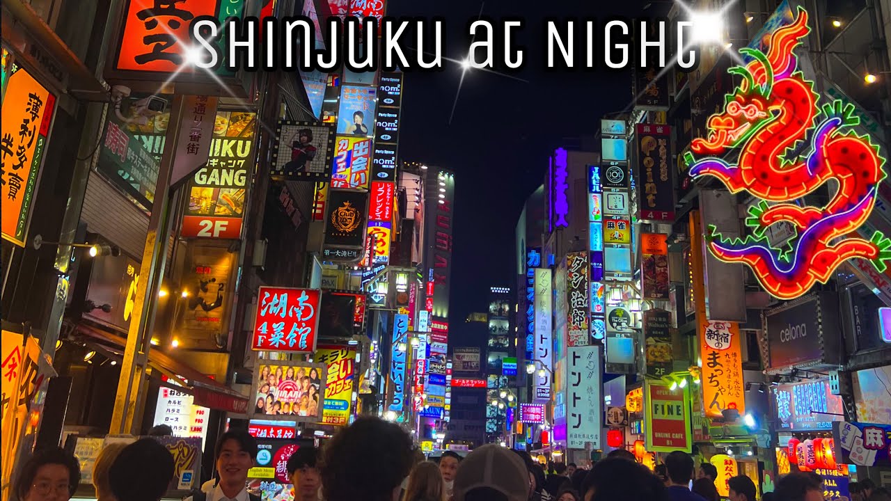 Tokyo Vlog #17 | Shinjuku at Night & Akihabara shopping