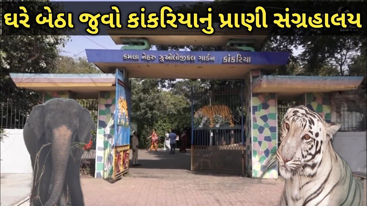 kankaria zoo ahmedabad 2023 | અમદાવાદના કાંકરિયાનું પ્રાણી સંગ્રહાલય ઘરે બેઠા જુવો | sunil ni sathe