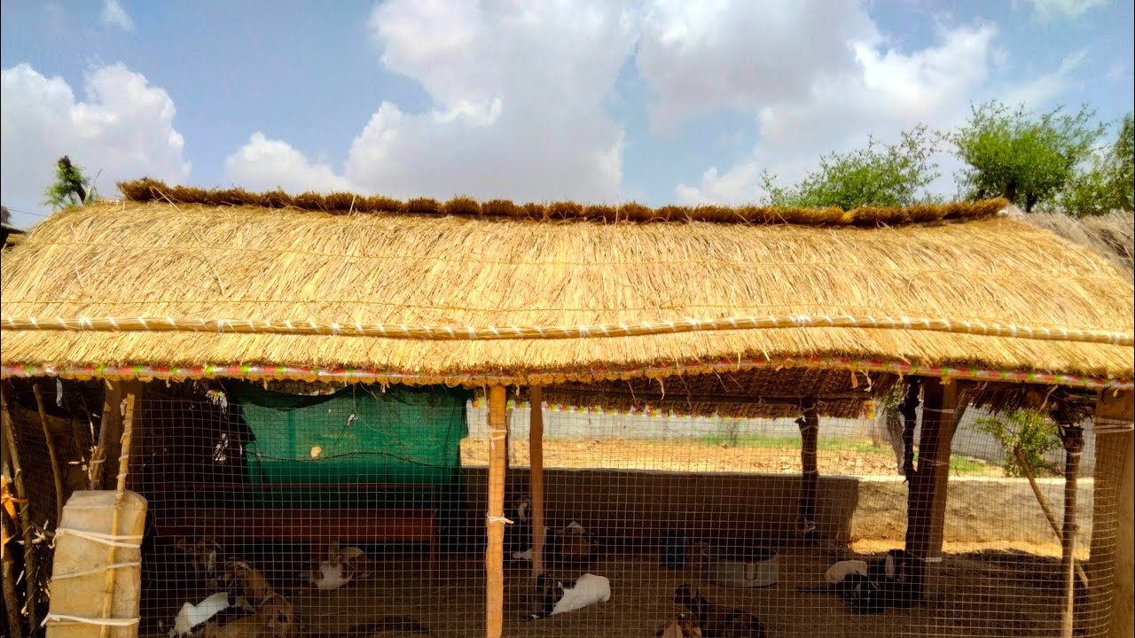 राजस्थानी झोपड़ी बनाने का तरीका/Rajasthani jhopdi kaise banate hain banane ka tarika @RamlalJat12