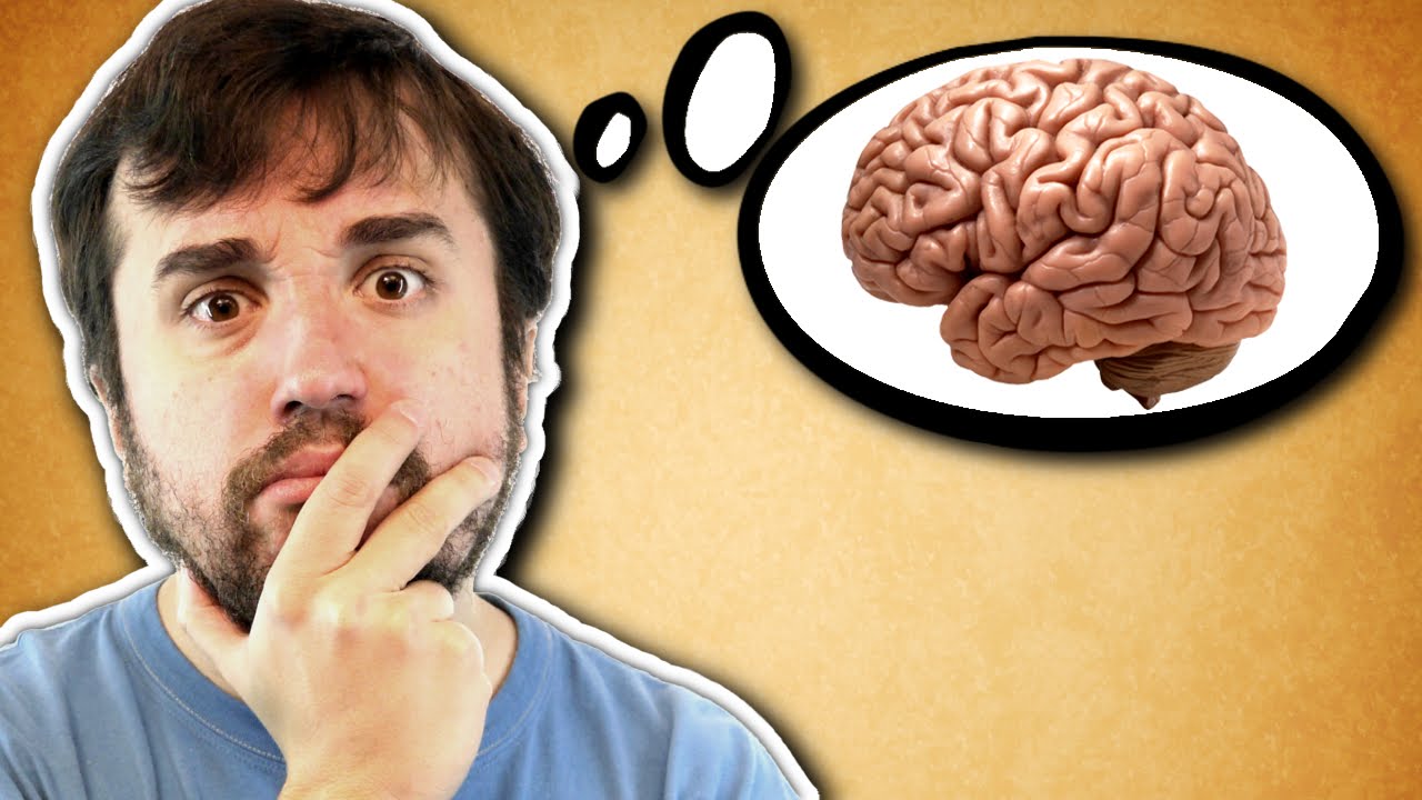 A TROLLAGEM CONTINUA! - Gênio Quiz 2 (parte 01)