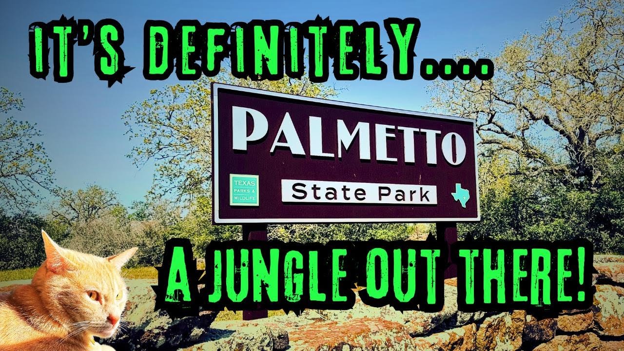 PALMETTO STATE PARK!  RV camping in a Texas jungle!