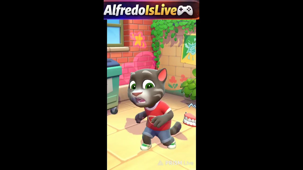 Talking Tom Live Stream 😺🔥 | Fun & Crazy Moments | #TalkingTom #TomLive #FunnyLive
