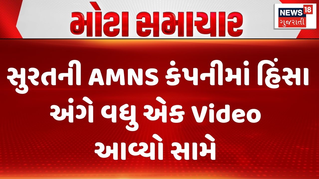 Surat Protest | સુરતની AMNS કંપનીમાં હિંસા અંગે વધુ એક Video આવ્યો સામે | Company Workers | Gujarat