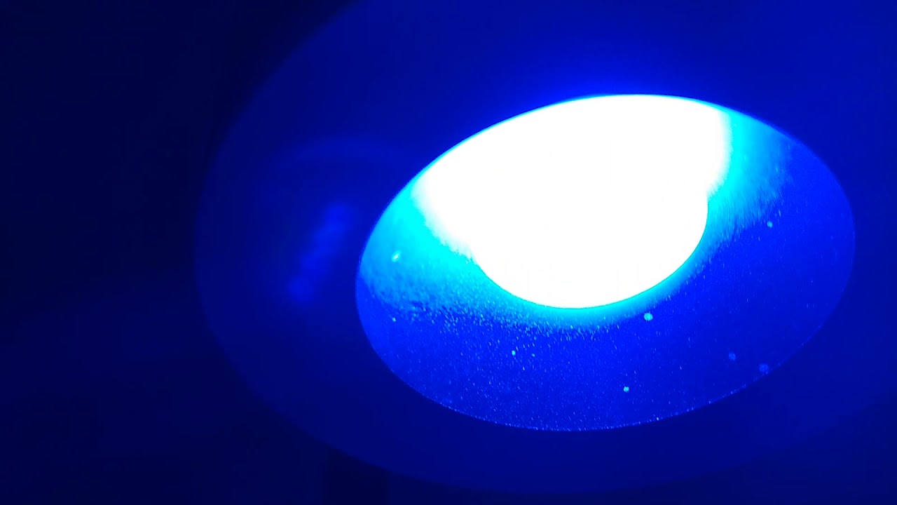Asta 20 Saltwater Edition LED light update 1
