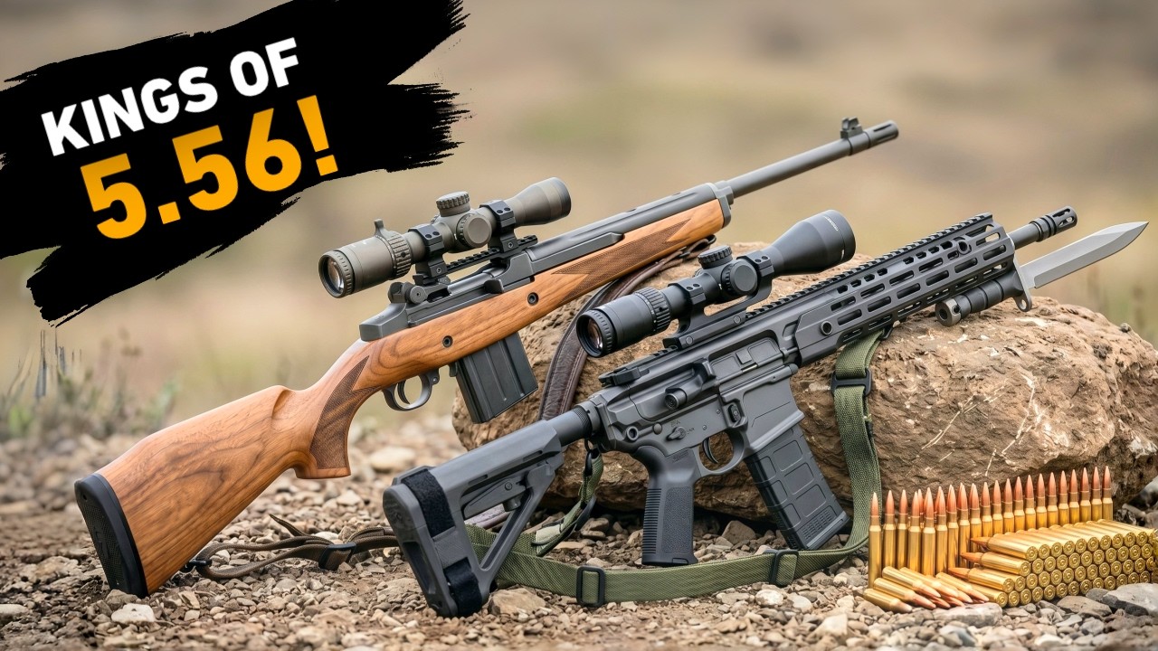 Top 10 Best 5.56 NATO Rifles Dominating the Rifle World Right Now!