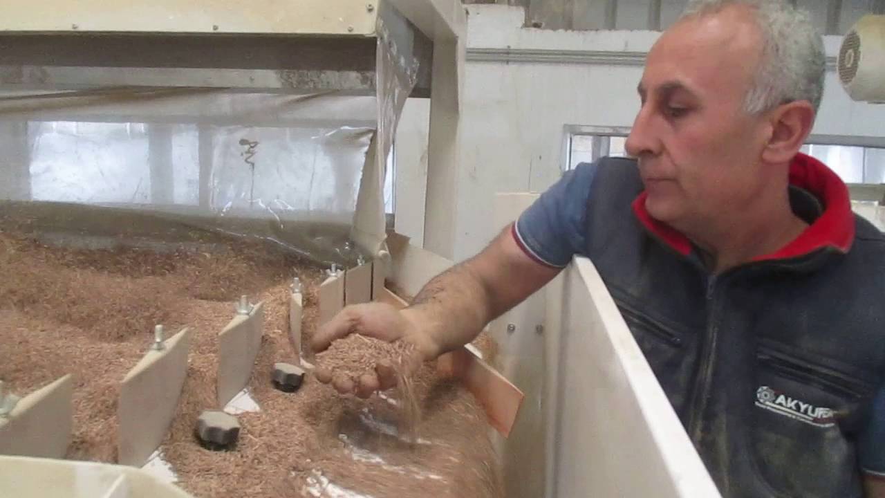 Fennel Seed Cleaning Plant India video  2