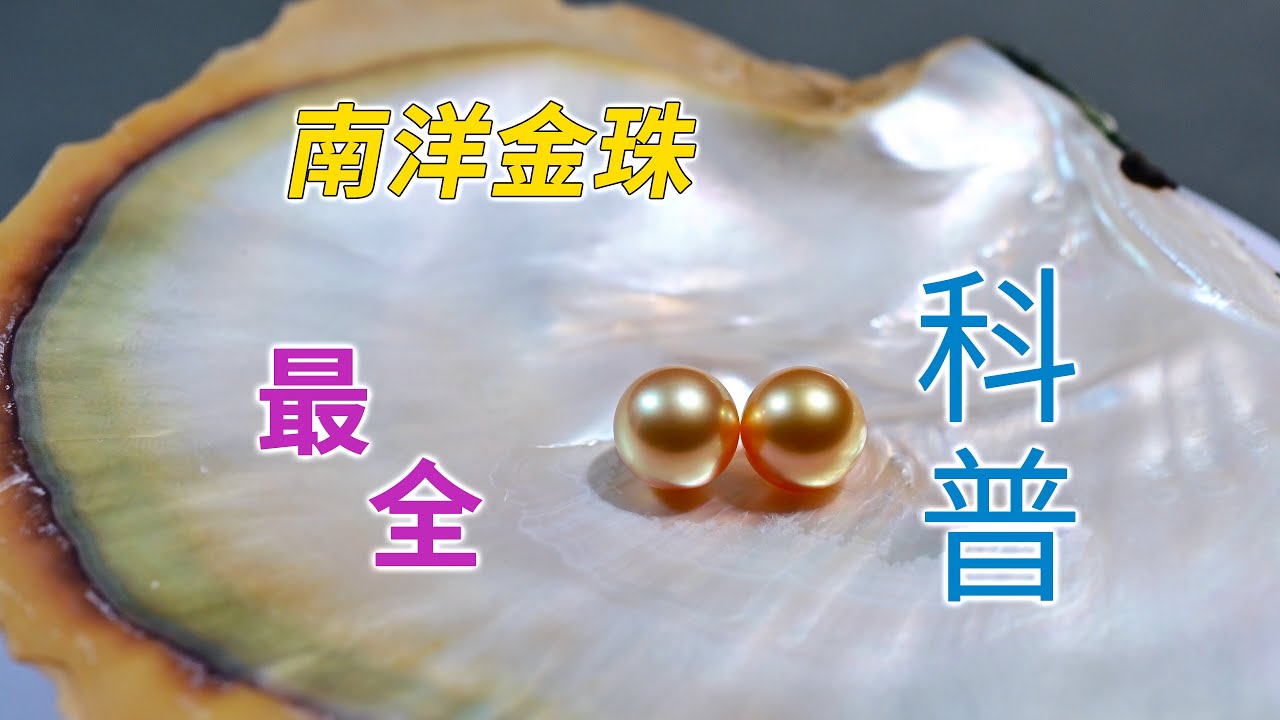 南洋金珠最全科普：母贝金唇贝 养殖技术 品质特征 颜色成因 鉴定证书 选购建议