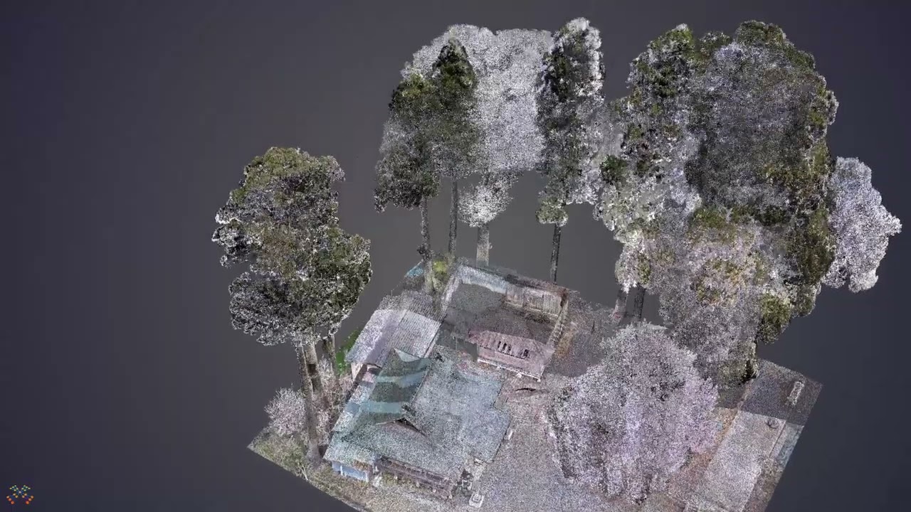田村神社のスギ