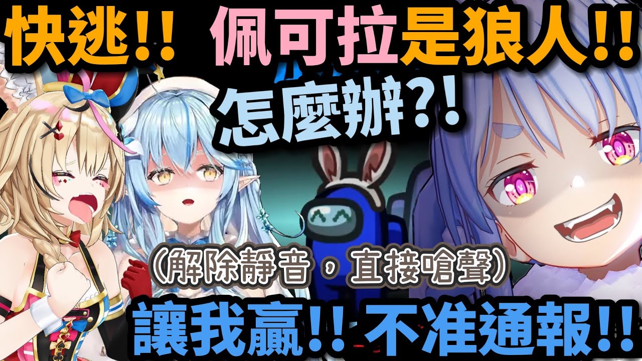 嘶聲力竭的波爾卡! 確定勝利的佩可拉直接