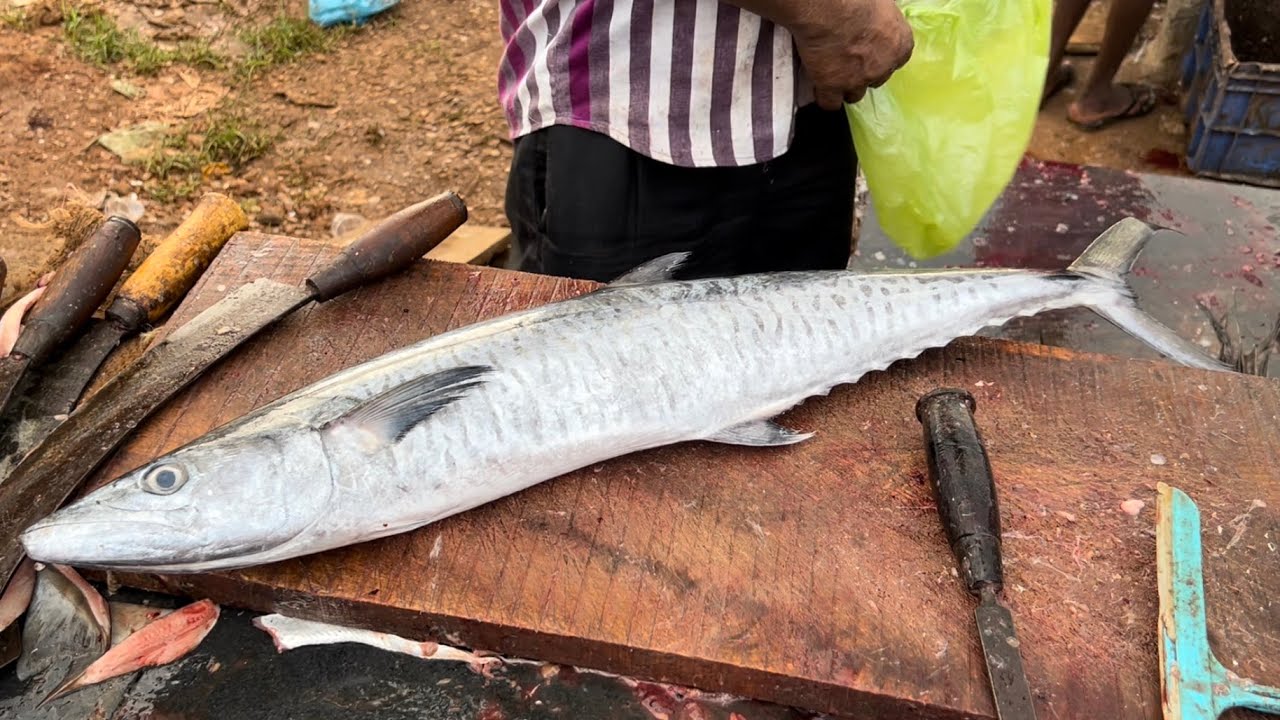 Kingfish cutting skills_5kgs in Goa. 