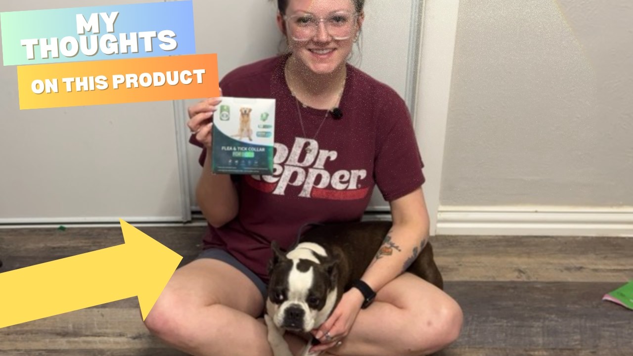 Quick Look at These Durable Dog Flea Collars