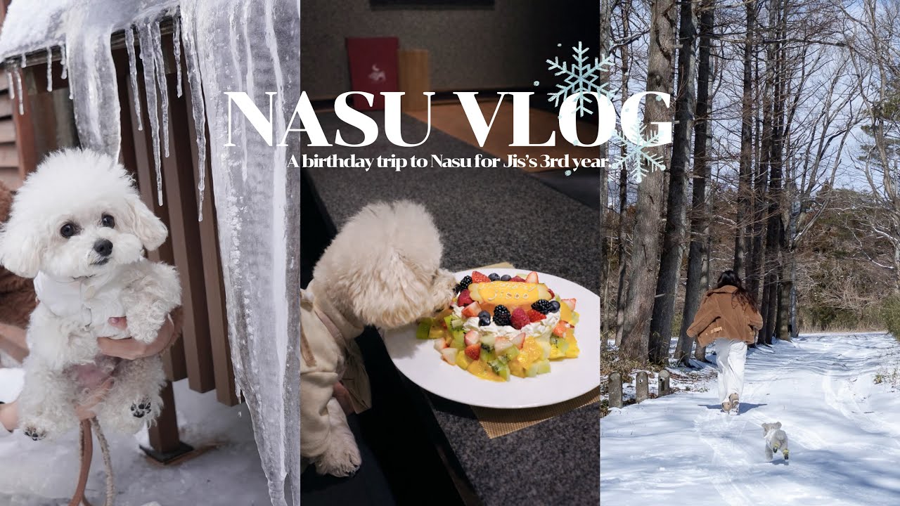 愛犬の3歳お誕生日旅行🎂冬の那須VLOG