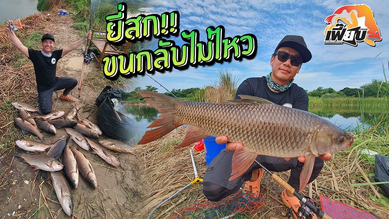 ยี่สกสยบคามุม! 150 บาท ยกฝูง! คุ้มสุดๆ บ่อทรายเก่าสวนน้ำเคียงดิน Rohu Carp Fishing Buffet!