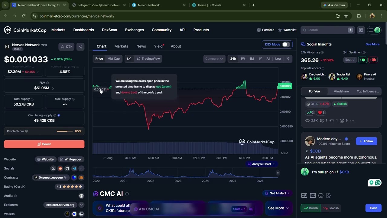 Токен Nervos Network ($CKB) &mdash; это легитимная или мошенническая схема?