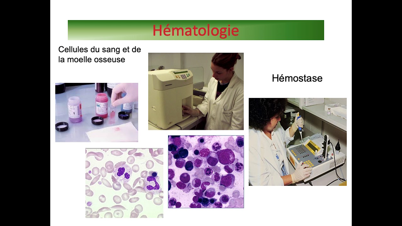 BTS Analyses de Biologie Médicale