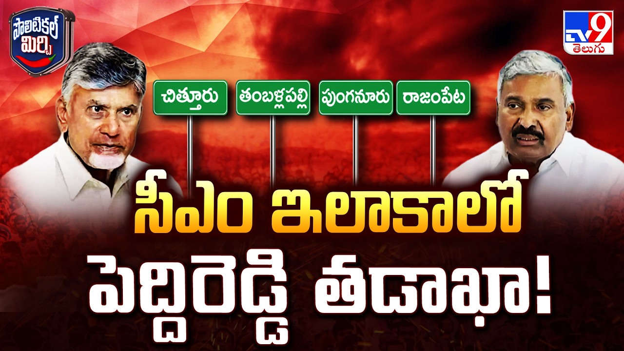 Political Mirchi : సీఎం ఇలాకాలో పెద్దిరెడ్డి తడాఖా! | Peddireddy Ramachandra Reddy | Chittoor - TV9