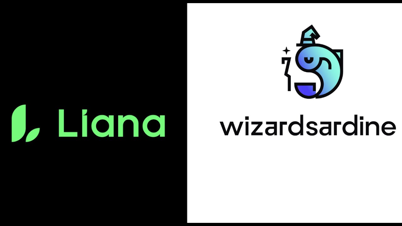 Why use Wizardsardine's Liana wallet?