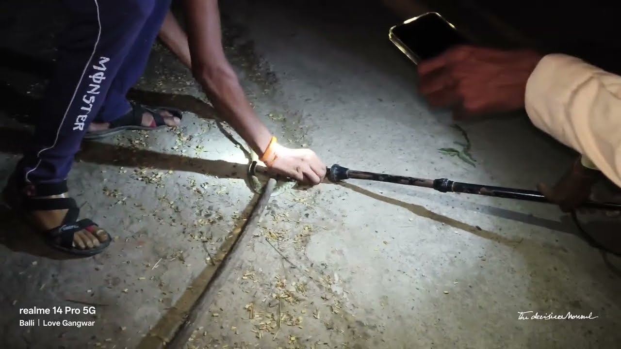 Night Snake vlog // Snake vlog // Snake kaise pakde 🐍🐍 #vlog #snakevlog #viralvlogs #trendingvlogs 