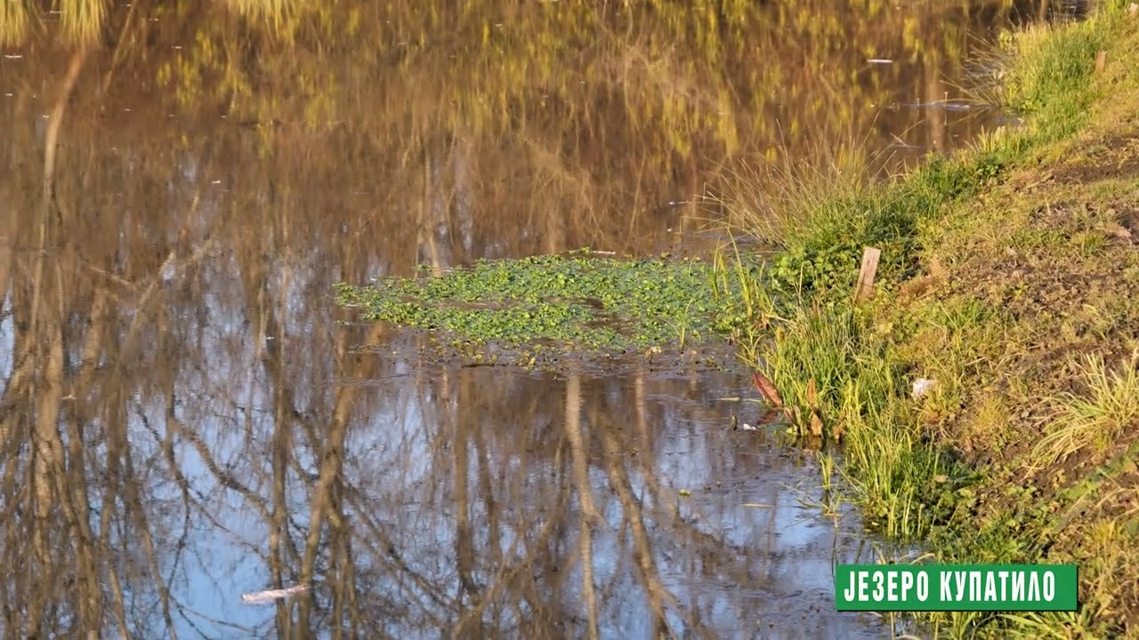 Reke i jezera - Jezero Kupatilo, Voganj