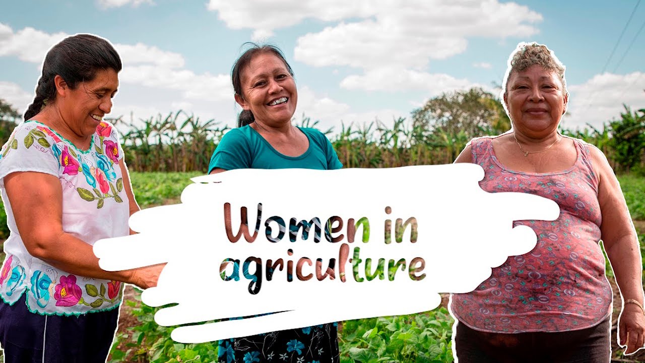 Minidocumentary: Women in agriculture | Yucatan, Mexico