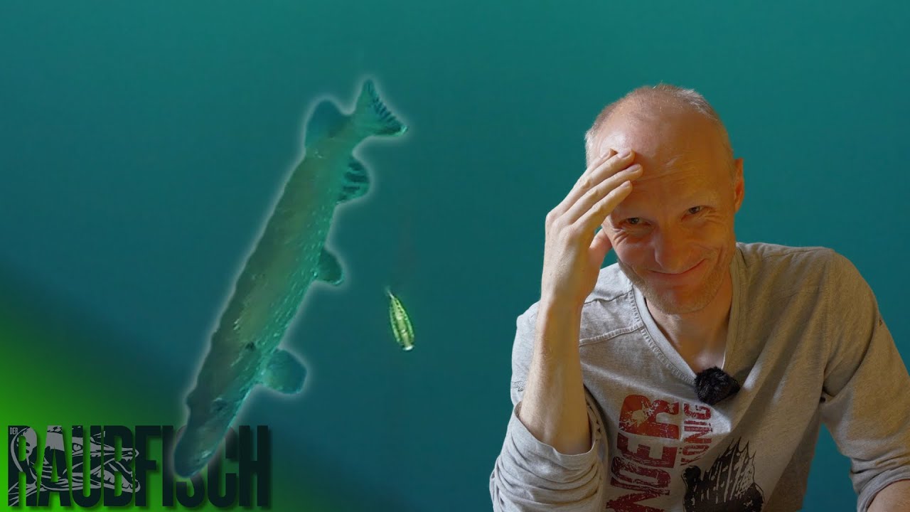 Hechte im Fress Streik? Und trotzdem schwimmen sie zum Köder!