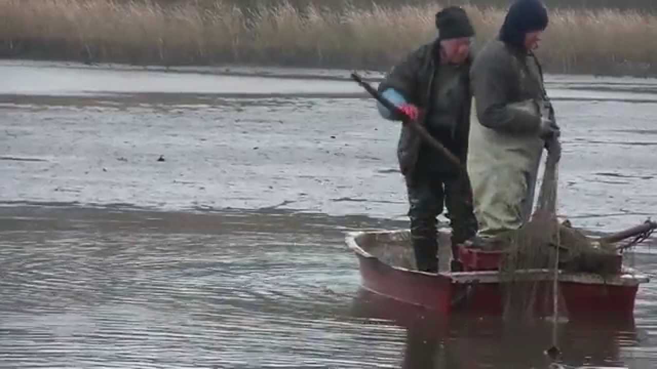 Połów karpia - pojezierze brodnickie