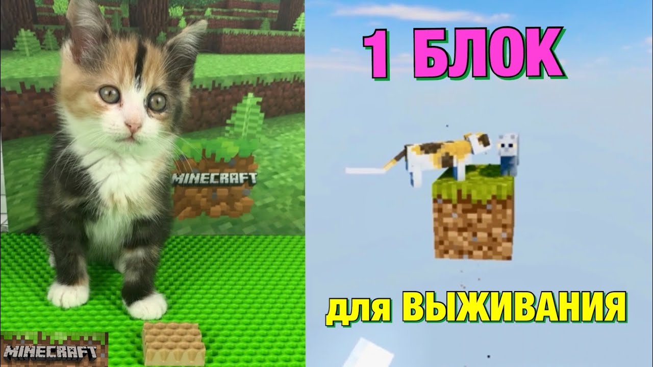 КАК ВЫЖИТЬ на 1 БЛОКЕ в МАЙНКРАФТ вместе с КОТЁНКОМ ?🧩🙀😱