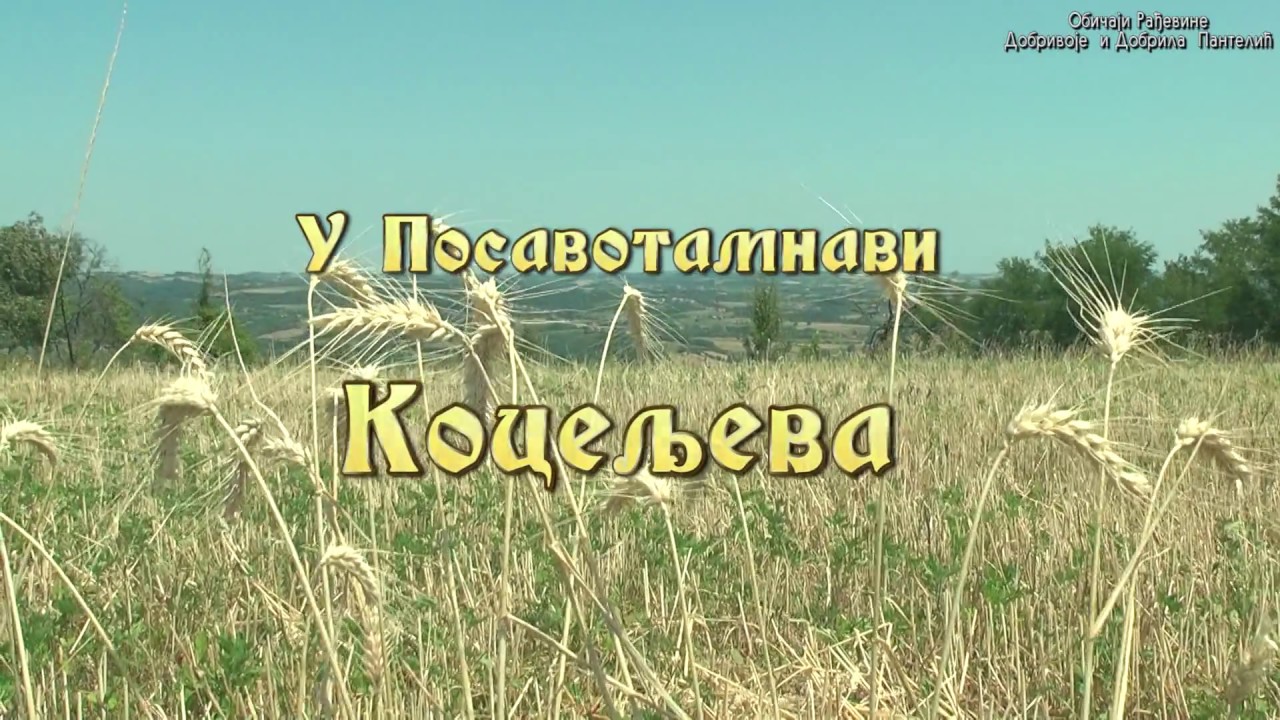 Dokumentarni Film 