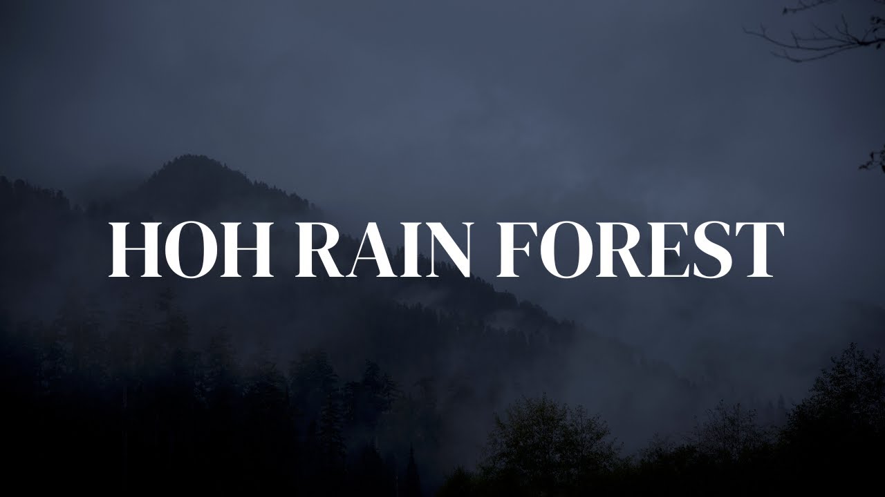 Cozy Camping in the Hoh Rain Forest | Olympic National Park, Washington