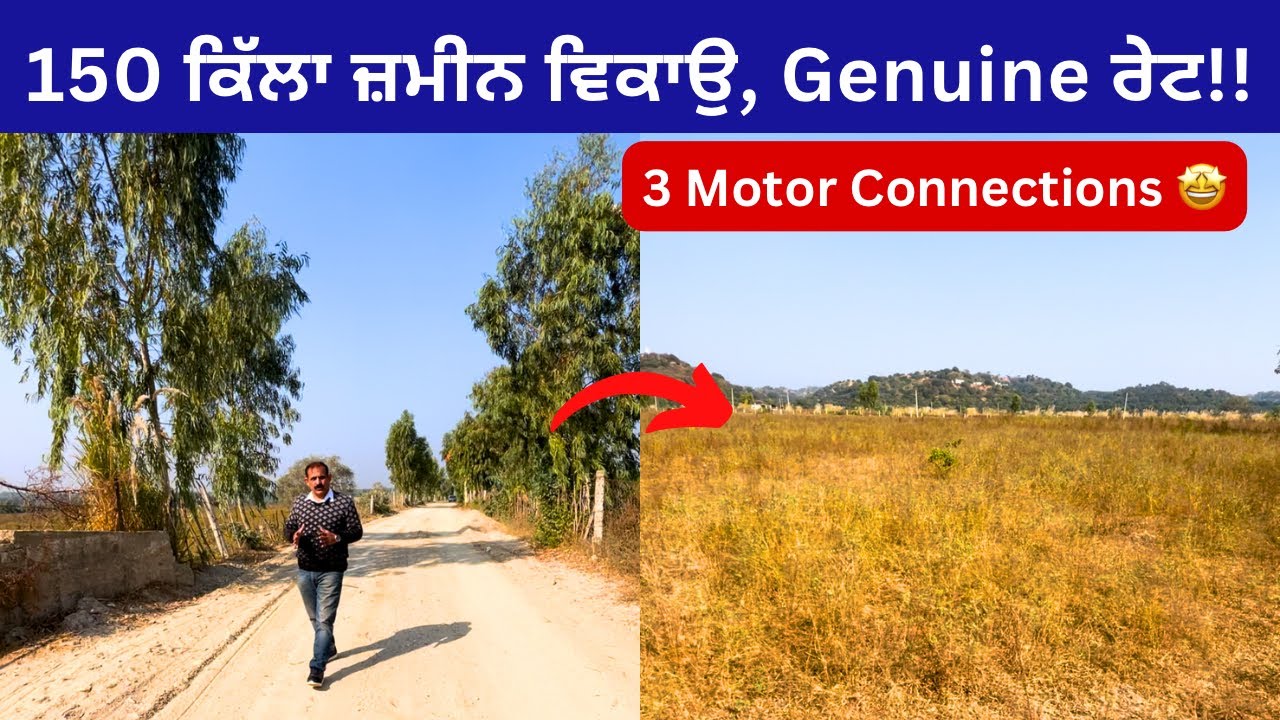 150 acres land in GENUINE PRICE🤩 for sale in Punjab Hoshiarpur district