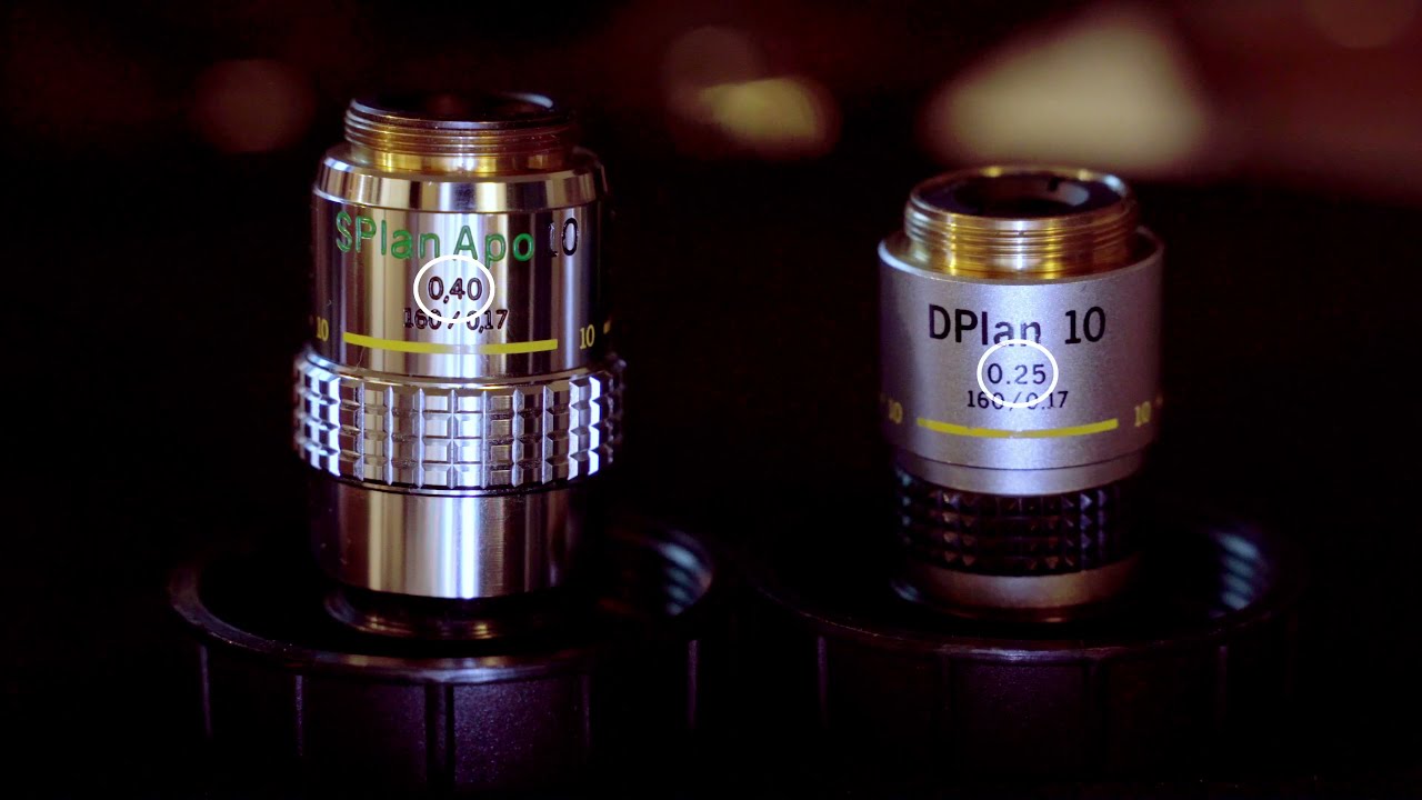 Quick Tip - The Impact of Numerical Aperture on Detail