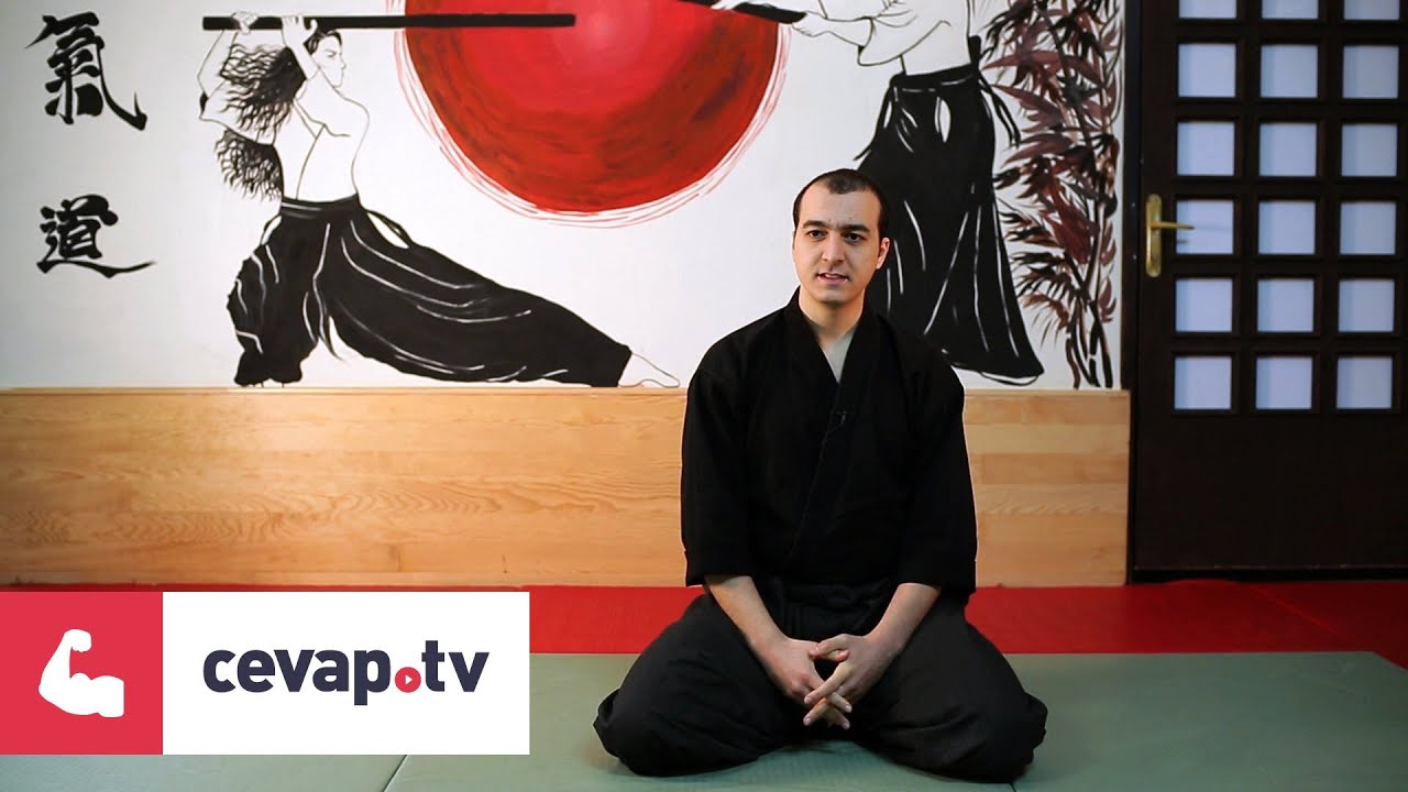 Aikido'nun tarih&ccedil;esi nedir?