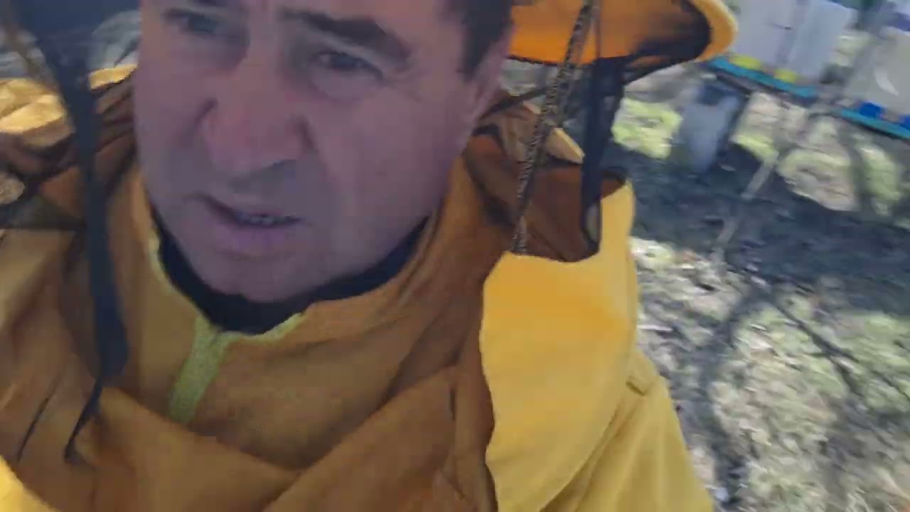 739.Revizia de primavara.