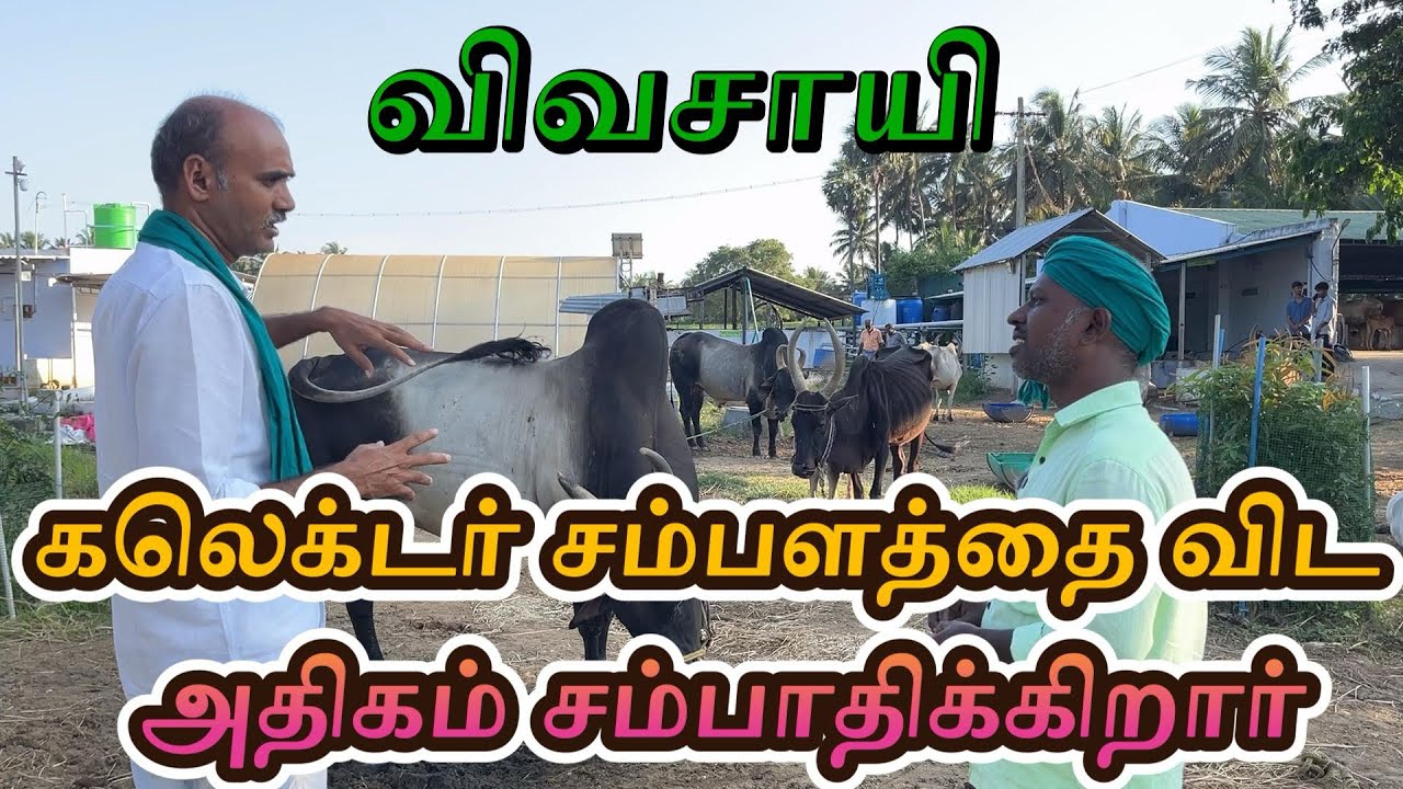 👌 அனைவரும் கேட்ட காணொளி 👌 கடைசி வரை பாருங்கள் புரியும் 🙏 