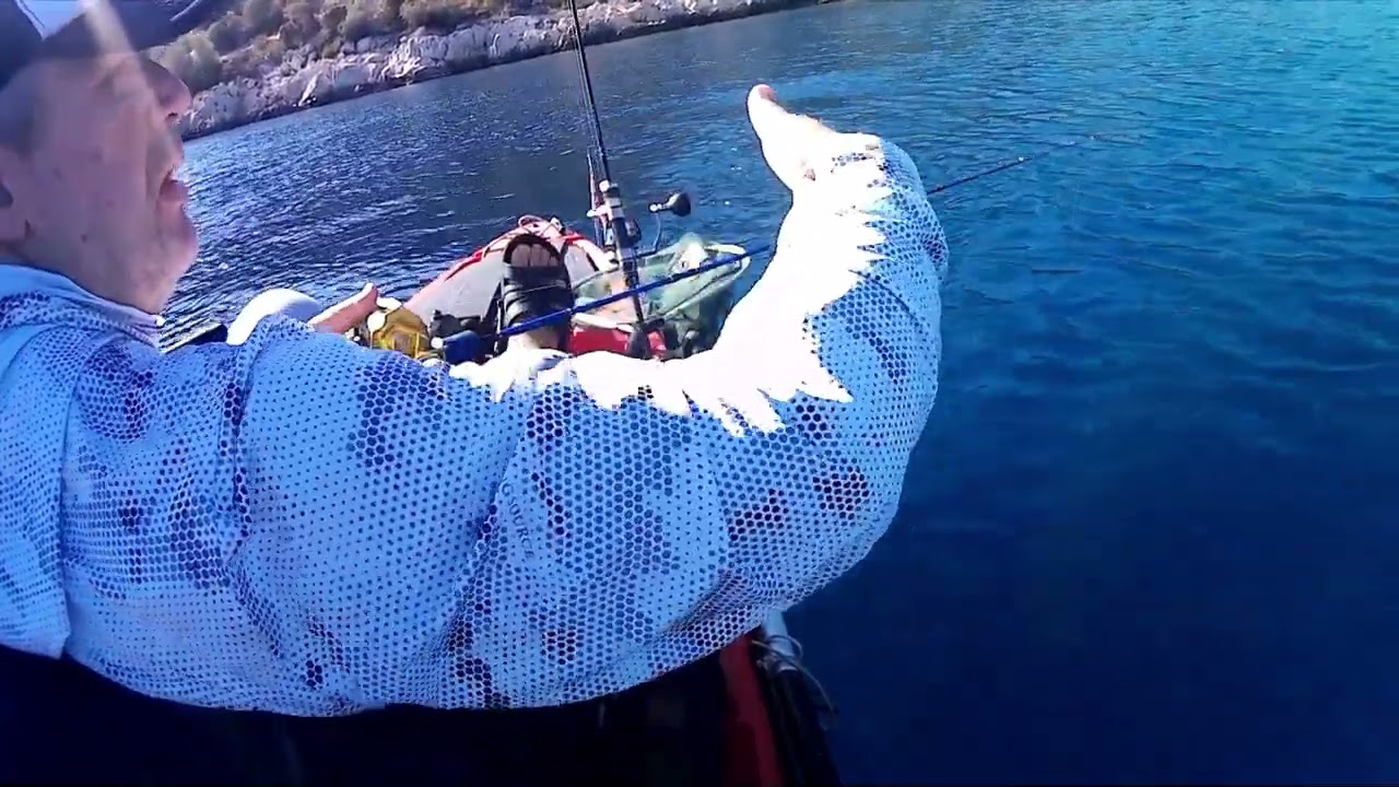 Σφυριδα!!Ψάρεμα με σιλικόνη σουπιά & ψαράκι, πολλά Tips