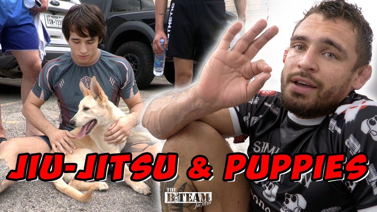 Fast Cars & Puppies, Just a Normal Day at B-Team | B-Team Vlog