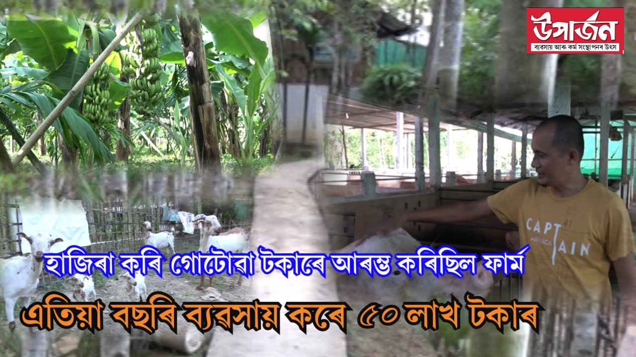 গোলাঘাটৰ খুমটাইৰ বুঢ়া লিকচন গাঁৱৰ পল্লৱ গগৈৰ কাহিনী  | pallav gogoi