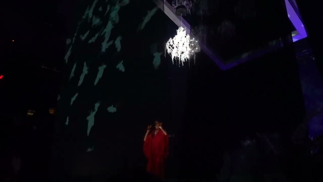 Florence and the Machine - Cosmic Love (Madison Square Garden, NYC 9/16/22)